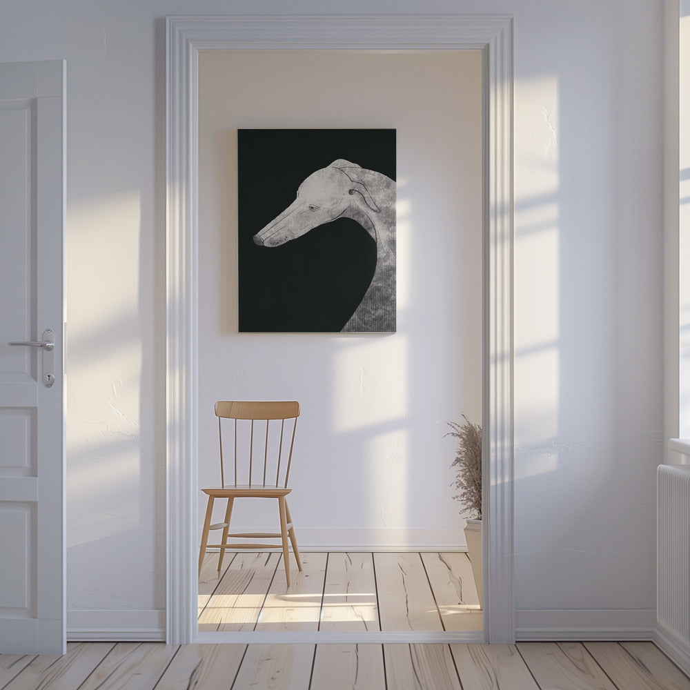 Perro galgo blanco y negro 02  ·  cuadro de decoración