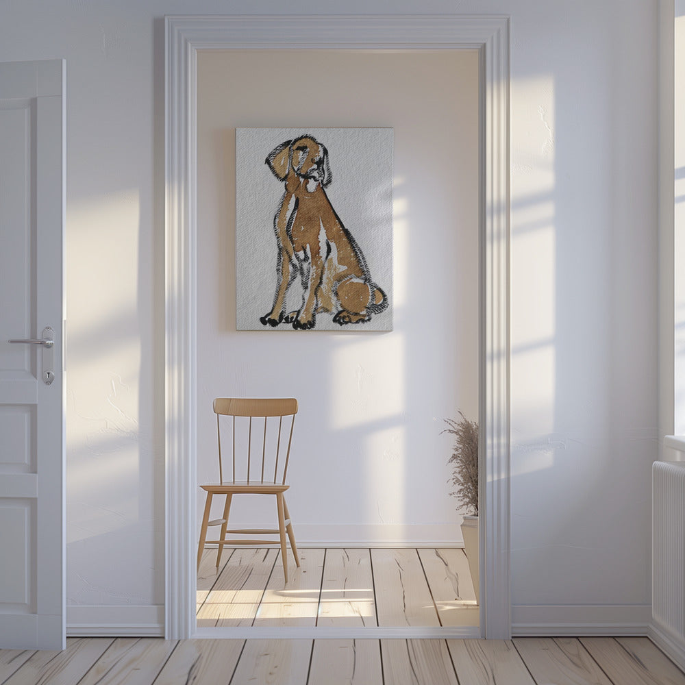 Perro 44  ·  cuadro de decoración