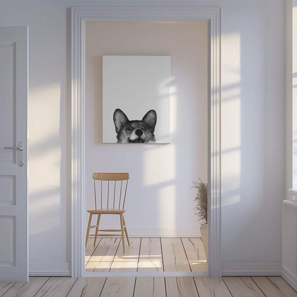 Perro Corgi con expresión alegre  ·  cuadro de decoración