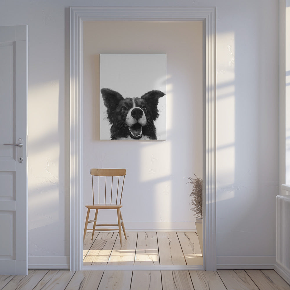 Mirada alegre de un perro  ·  cuadro de decoración