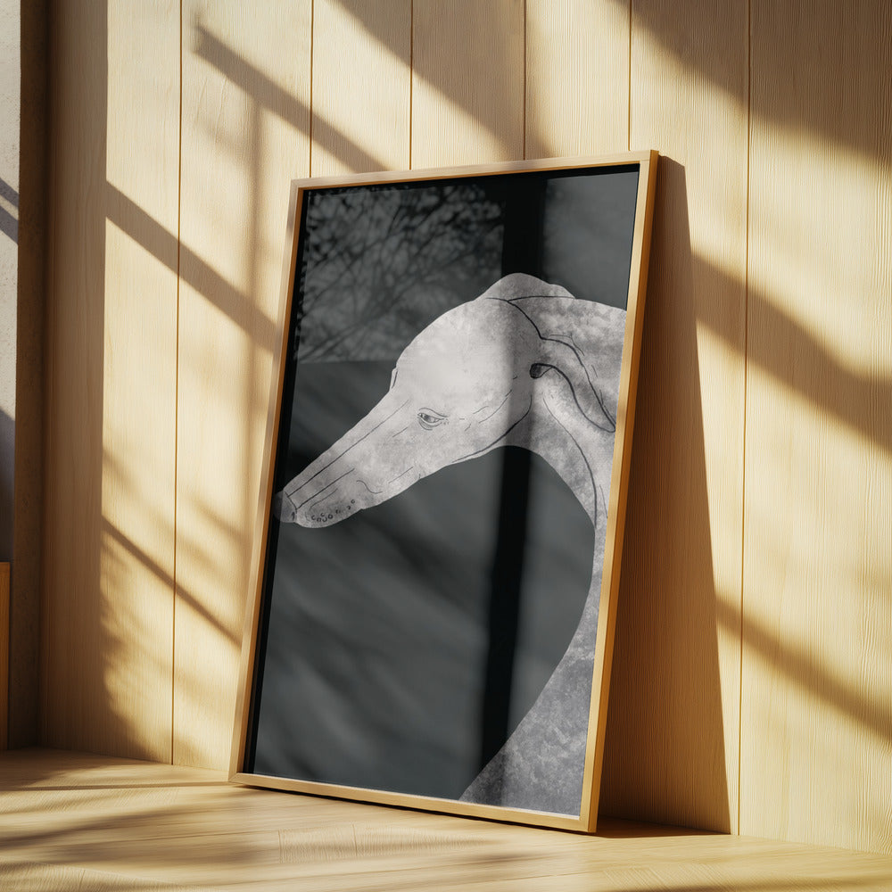 Perro galgo blanco y negro 02  ·  cuadro de decoración