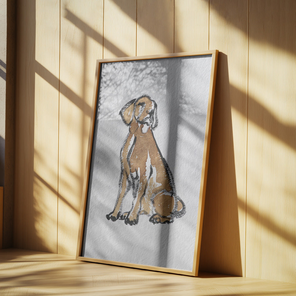 Perro 44  ·  cuadro de decoración