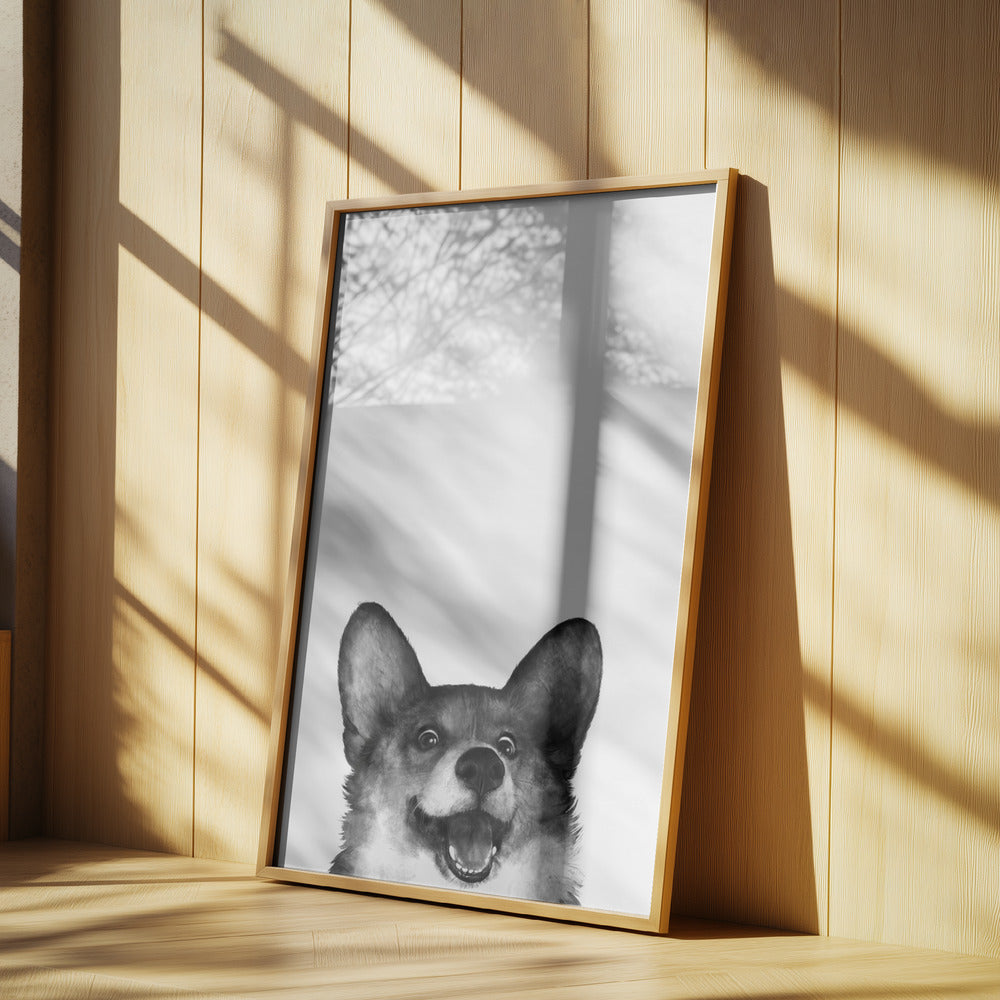 Perro Corgi con expresión alegre  ·  cuadro de decoración