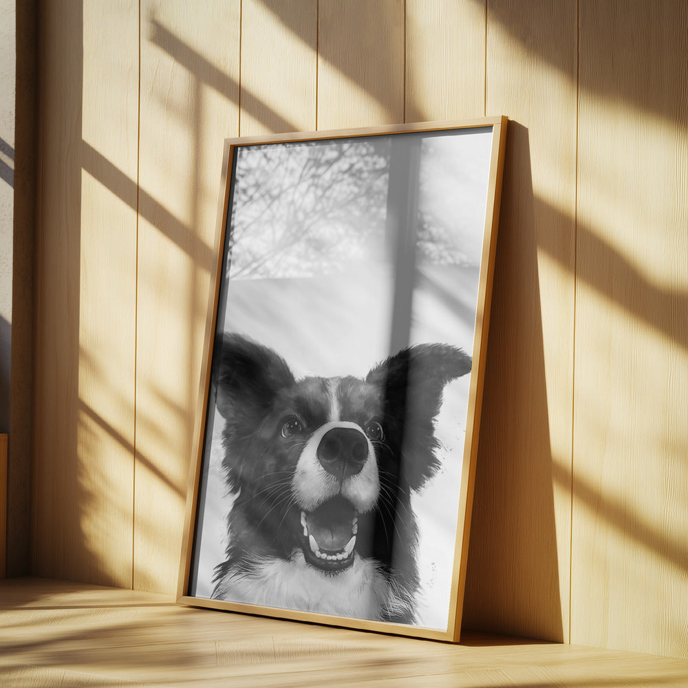 Mirada alegre de un perro  ·  cuadro de decoración