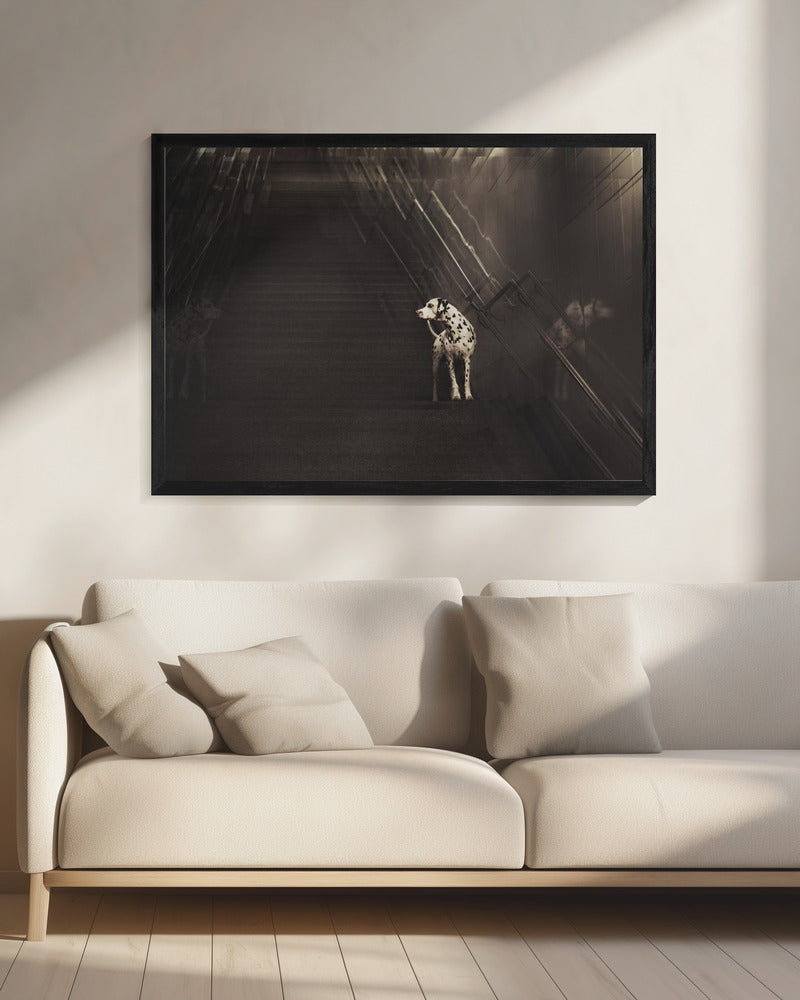 Yo y yo el dálmata  ·  cuadro de decoración