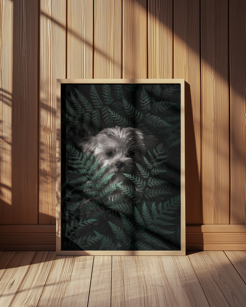Cachorro entre los helechos  ·  cuadro de decoración