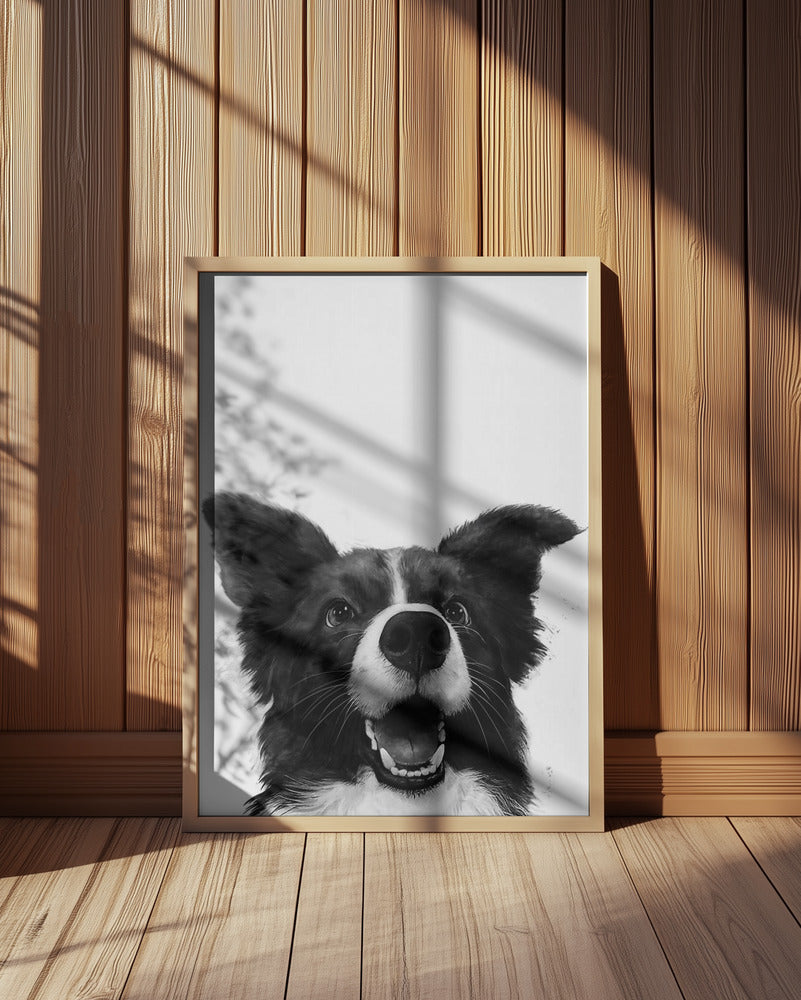 Mirada alegre de un perro  ·  cuadro de decoración