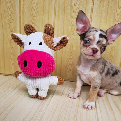 Jóvenes amigos · paquete de 5 juguetes para perros