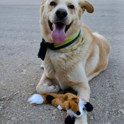 Zorro sin relleno · juguete de perro esponjoso