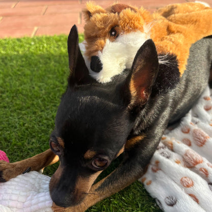 Zorro sin relleno · juguete de perro esponjoso