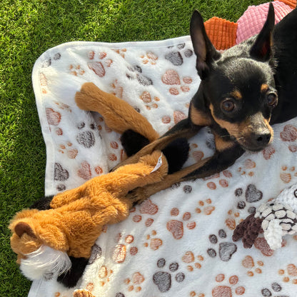 Zorro sin relleno · juguete de perro esponjoso